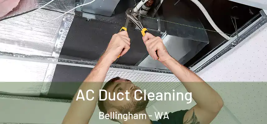  AC Duct Cleaning Bellingham - WA