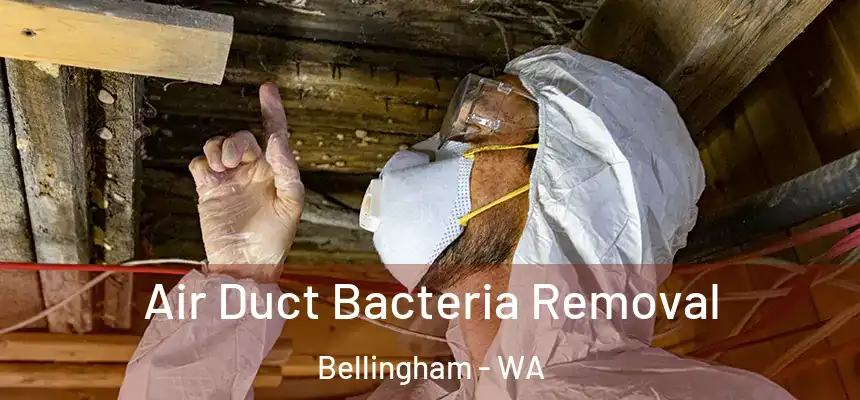 Air Duct Bacteria Removal Bellingham - WA