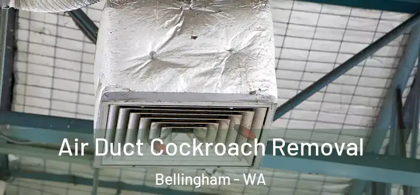  Air Duct Cockroach Removal Bellingham - WA