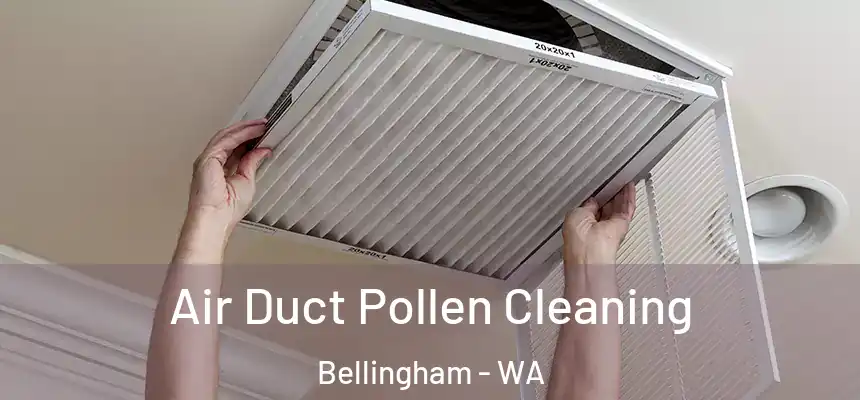 Air Duct Pollen Cleaning Bellingham - WA