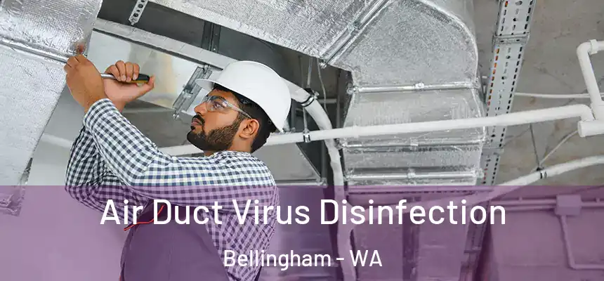 Air Duct Virus Disinfection Bellingham - WA