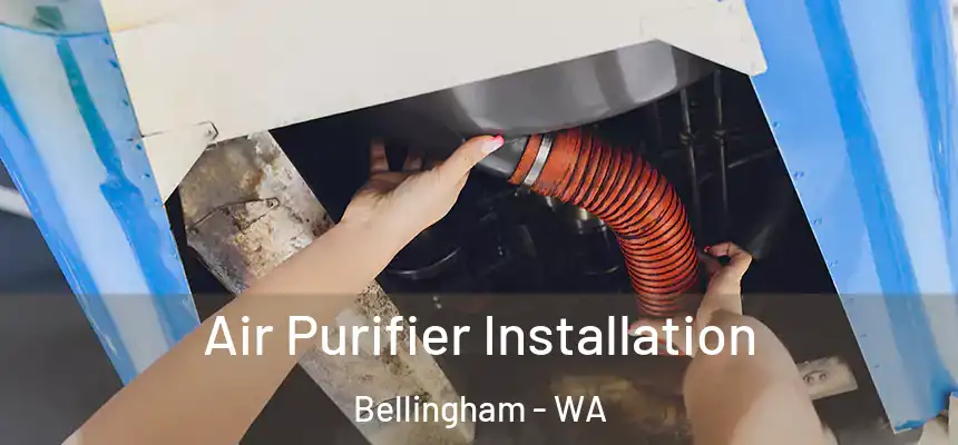  Air Purifier Installation Bellingham - WA