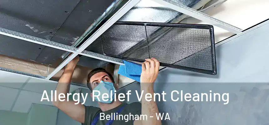  Allergy Relief Vent Cleaning Bellingham - WA
