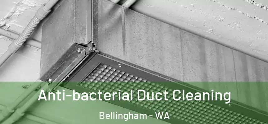 Anti-bacterial Duct Cleaning Bellingham - WA