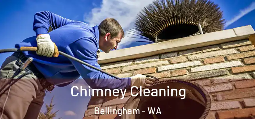  Chimney Cleaning Bellingham - WA
