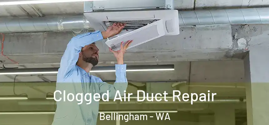  Clogged Air Duct Repair Bellingham - WA