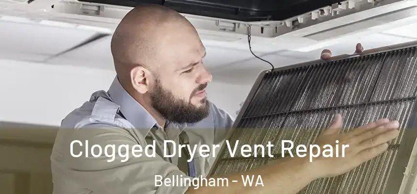  Clogged Dryer Vent Repair Bellingham - WA