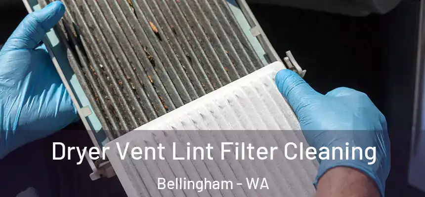 Dryer Vent Lint Filter Cleaning Bellingham - WA