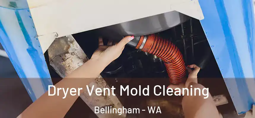  Dryer Vent Mold Cleaning Bellingham - WA