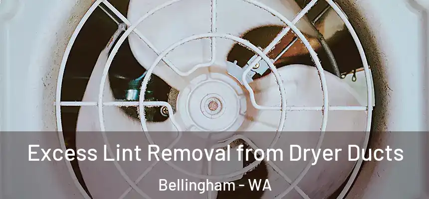  Excess Lint Removal from Dryer Ducts Bellingham - WA