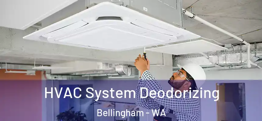 HVAC System Deodorizing Bellingham - WA