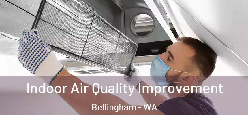 Indoor Air Quality Improvement Bellingham - WA