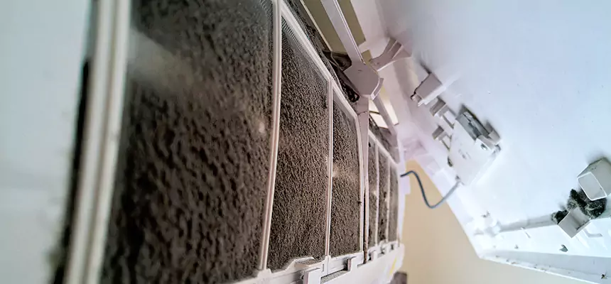 Preventive Air Duct Bacteria Removal in Bellingham