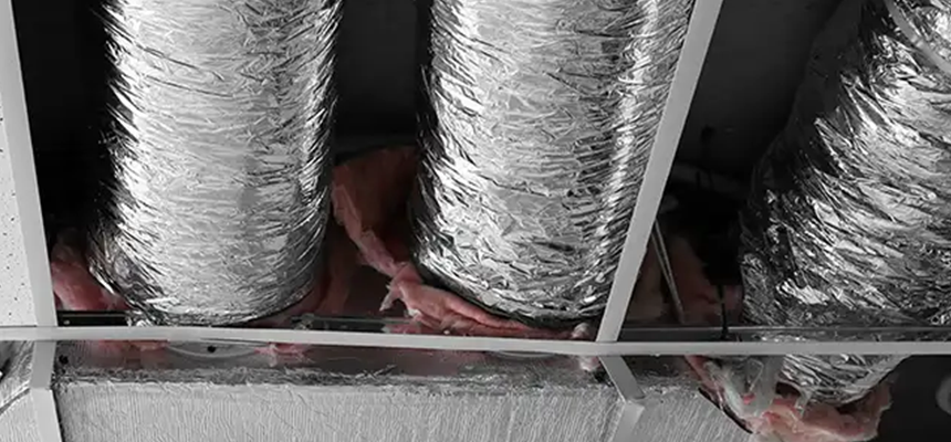 Scalable Commercial Multi‑Unit Dryer Vent Camera Inspection in Bellingham, WA