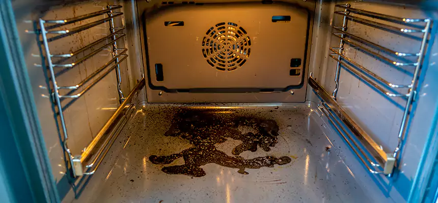 Our Dryer Vent Mold Cleaning Services in Bellingham, WA