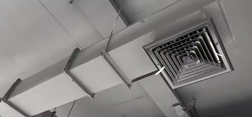 Our Rodent Droppings In Vents Services in Bellingham, WA