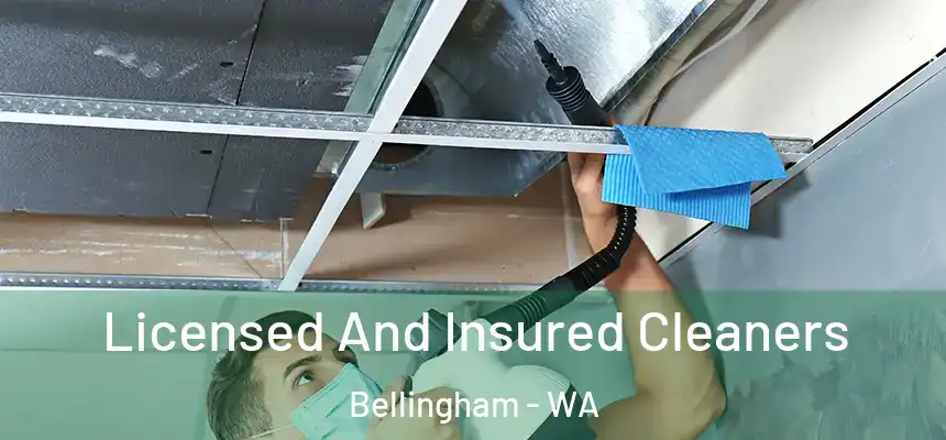  Licensed And Insured Cleaners Bellingham - WA