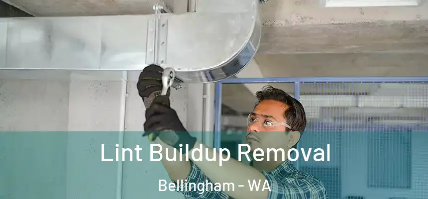 Lint Buildup Removal Bellingham - WA