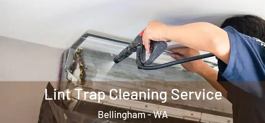Lint Trap Cleaning Service Bellingham - WA