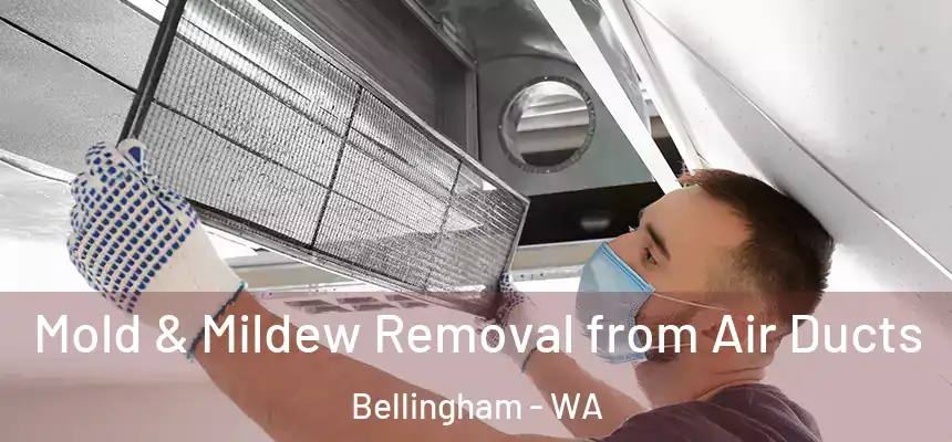  Mold & Mildew Removal from Air Ducts Bellingham - WA