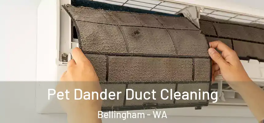  Pet Dander Duct Cleaning Bellingham - WA