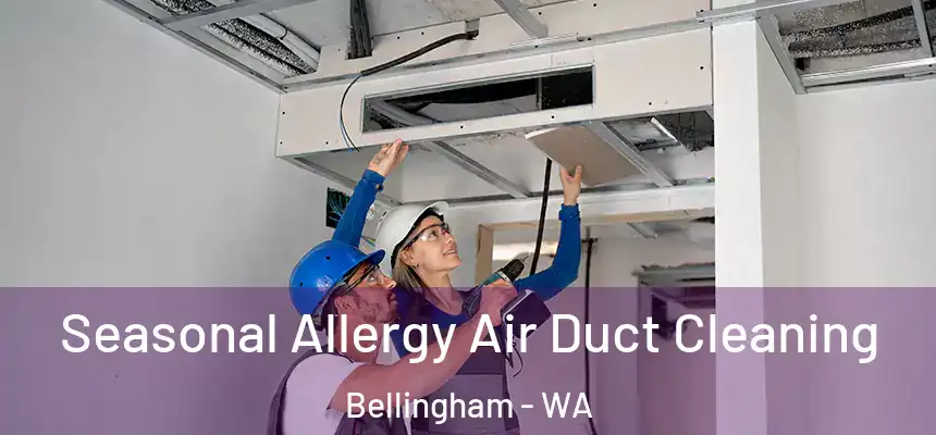  Seasonal Allergy Air Duct Cleaning Bellingham - WA