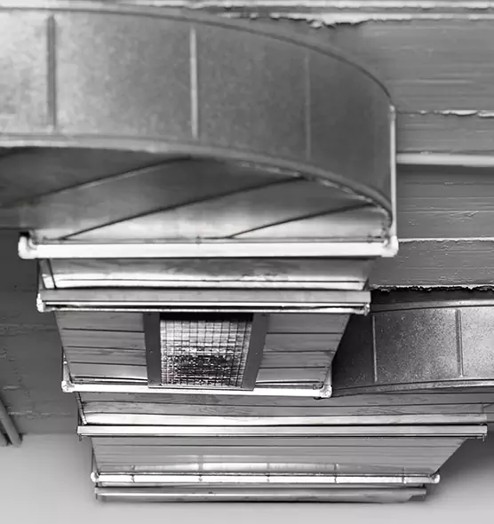 Professional Air Duct Pest Removal in Bellingham, WA