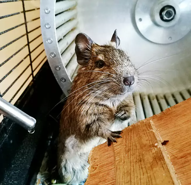 Why Homeowners & Businesses Trust Us Bellingham, WA