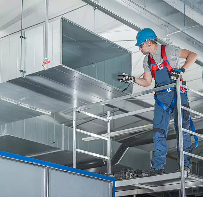 Why Homeowners & Businesses Trust Us in Bellingham, WA?