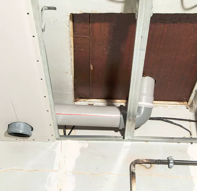 Why Homeowners & Businesses Trust Us in Bellingham, WA?