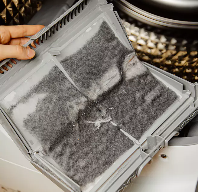 Why Homeowners & Businesses Trust Us Bellingham, WA?