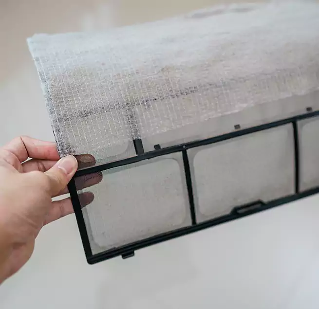 Why Homeowners & Businesses Trust Us in Bellingham, WA?