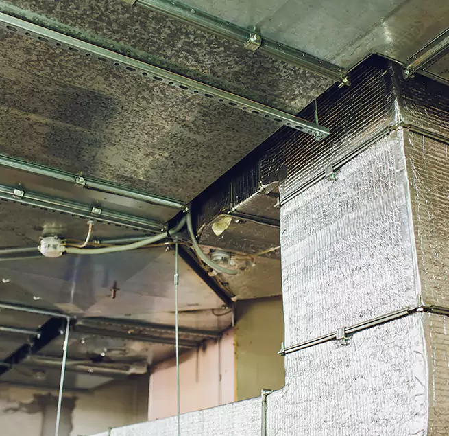 Why Homeowners & Businesses Trust Us in Bellingham, WA?