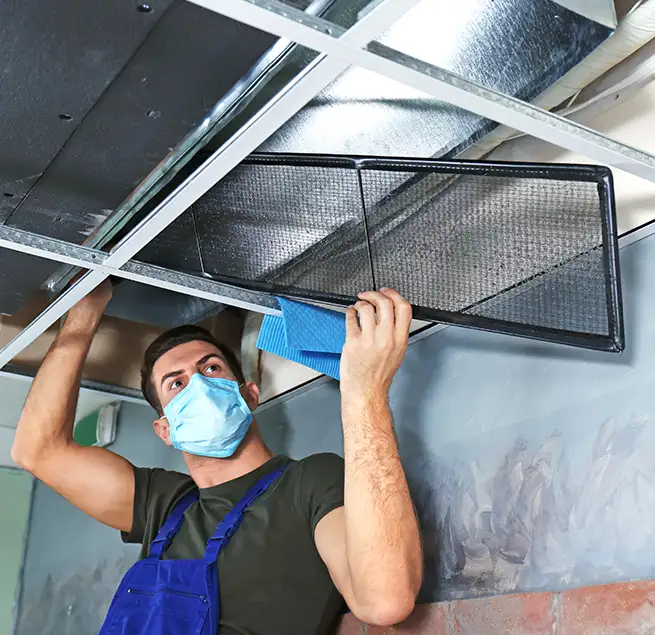 Why Homeowners & Businesses Trust Us in Bellingham, WA?