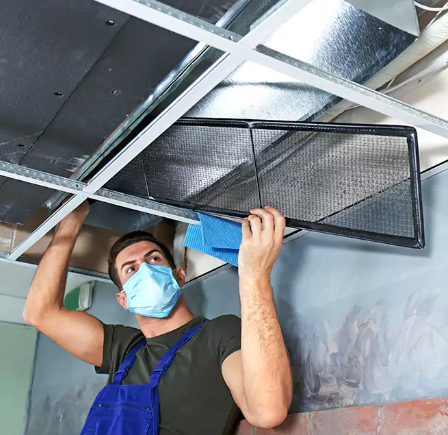 Why Homeowners & Businesses Trust Us in Bellingham, WA?