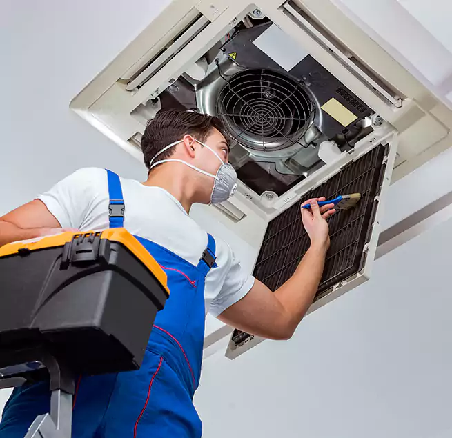 Why Homeowners & Businesses Trust Us in Bellingham, WA?