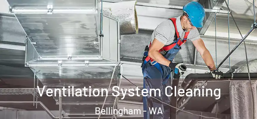  Ventilation System Cleaning Bellingham - WA