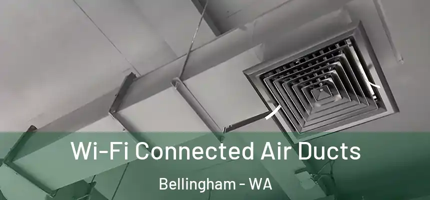  Wi-Fi Connected Air Ducts Bellingham - WA